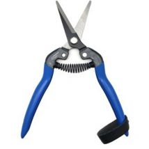 Manzana Nules - Ciseaux pour la récolte des fruits et légumes tico-m110c pomme nules