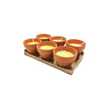 Citronelle Pollicino 6 bougies a' la citronnelle 70x60 mm anti-moustique