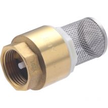 Clapet anti-retour avec filtre inox Noyon&thiebault F26x34 (1')