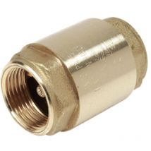 Clapet anti-retour à disque en laiton/Plastique Giacomini R60 1'