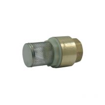Clapet corps laiton avec crépine inox 304 1''