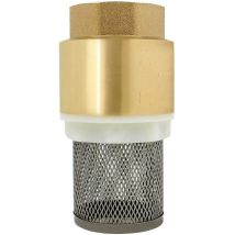 Clapet crepine anti retour 1/2、3/4、1、2 pouce - vanne non retour clapet anti-retour pompe (2 pouce)