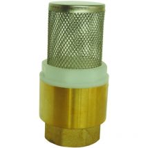 Clapet crépine universel Femelle 3/4" axe plastique