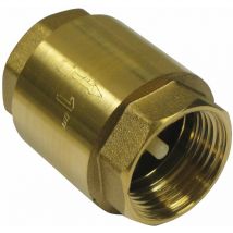Clapet de non-retour 1 Master Pumps