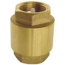 Clapet laiton toutes positions F/F YORK Itap 33x42