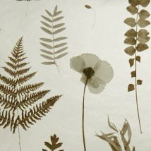 Clarke And Clarke - Herbarium Charcoal Gold Wallpaper Floral Flower Paste The Wall