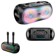 Reig - Claudio Bluetooth, fm Radio, 2 Mic sans fil DC-5V, Batterie 18650 Puissance : 20W (SA16610)