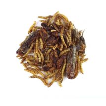 Claus Igel Fit - Futter für Igel 75g