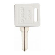 Clé passe général pour cylindre interchangeable Grappin Annat