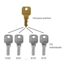 Clé passe-partout secura - Décor : Bronze Vitris