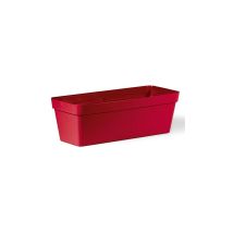 Cleo-Kassette 60 cm - Rot