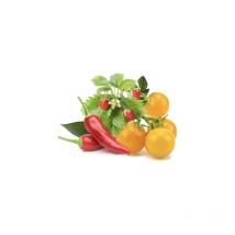 Click And Grow - smart lot de 9 pots de fruits et légumes PPMFVX9