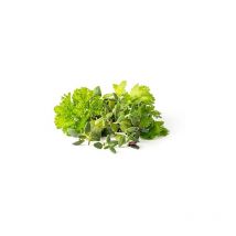 Click & Grow Green Salad Mix 9 Garnitures Click And Grow