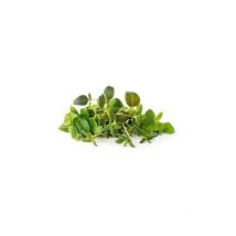 Click And Grow - click & grow mélange d'herbes italien 9 garnitures