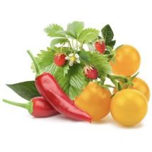 Click & Grow Mix Früchte Und Gemüse