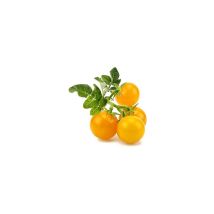 Click & Grow Sgr57x3 3 Pièce(s) Tomate Cerise Kit De Démarrage Click And Grow