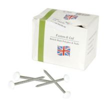 Clou inox NICOLL embout plastique blanc pour BELRIV - L.65 mm - 100 pièces - CI65B