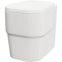 Club Back to Wall Toilet Pan with Soft Close Toilet Seat - Wholesale Domestic