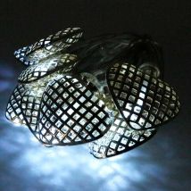 Coeurs argent 1.5M 2xAA 6000-10000K GSC 005204472