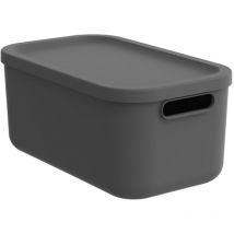 Coffre de rangement Rotho Albula 12L Anthracite