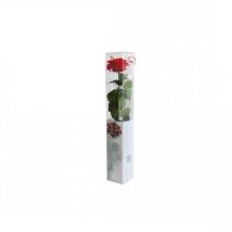 Coffre rose premium Rouge