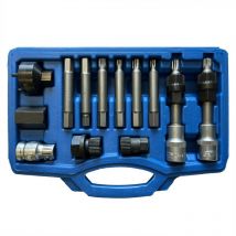 Coffret d' outils douilles et embouts pour depose repose alternateurs