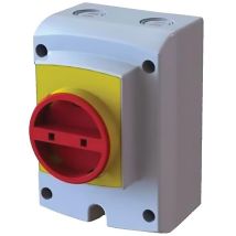 Eid - Coffret De Protection Ip65 3 Pôles 32a Avec Presse Étoupe M25 Taille Max.