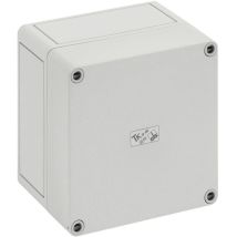 Spelsberg - Coffret d'installation tk ps 1313-10 11090501 gris clair (ral 7035) 130 x 130 x 99 Polystyrène expansé (eps)