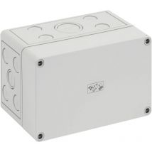 Coffret d'installation Spelsberg tk ps 1811-11-m 10590601 gris clair (ral 7035) 180 x 110 x 111 Polystyrène expansé (ep