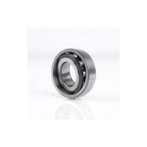 FAG - Cojinete cilíndrico 20204 t 14 mm de 47 mm di 20 mm
