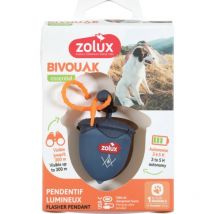 Collar para Perro Zolux bivouak Azul - Marca: Zolux ean: 3336026667994