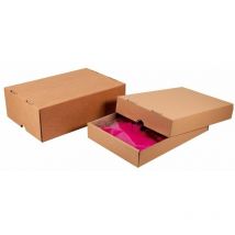 Caisse télescopique 305 x 215 x 105/180mm - colis 25 fonds+couvercles