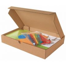 Boîte extra-plate 500 x 350 x 50mm - colis 50 boites
