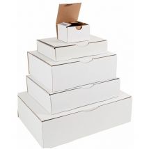 Boîte postale blanche 100 x 80 x 60mm - colis 50 boites