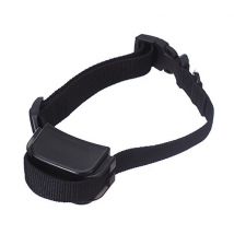 Petrainer - Collar adicional para el collar de adiestramiento X821