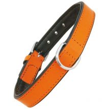 Collar para perro Gloria acolchado naranja (35 x 1,5 cm)