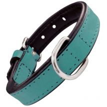 Collar para perro Gloria acolchado turquesa (35 x 1,5 cm)