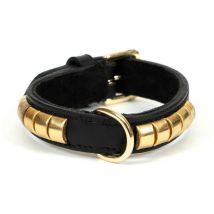 Collar para perro Gloria duna negro dorado (60 x 2.5 cm)