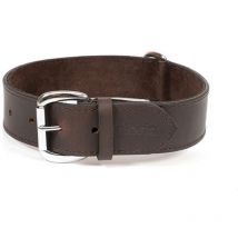 Collar para perro Gloria marrón (80 x 4 cm)