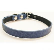 Collare per gatti blu con campanello Offerta esclusiva