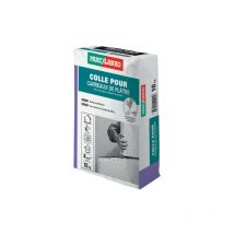 Colle pour carreaux de plâtre PAREXLANKO - 10kg - 02809