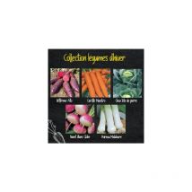 Collection légumes d'hiver - 5 variétés