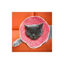 Collerette confortable de post-chirurgie pour chats et chiens, robuste, imperméable, résistante aux griffures et morsures, facile à nettoyer, avec