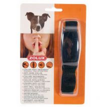 Collier anti aboiement petit chien