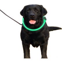 Jormftte - Collier de chien led à clip réglable, rechargeable par usb, collier de chien lumineux pour la sécurité nocturne, collier lumineux tendance