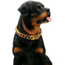 Collier en pour Chien en Or avec Boucle de Conception sécurisée, résistant à la Mastication(Or, 18'')