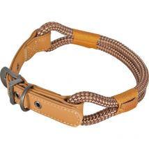 Collier imao 50 cm x 9 mm Hyde park chocolat pour chien Zolux