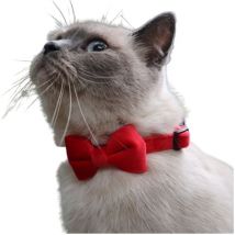 Collier pour chat avec clochette, colliers pour chat, colliers pour chat en velours, collier pour chat amovible avec nœud, collier pour chat avec
