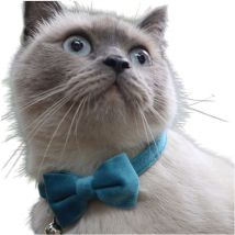 Collier pour chat avec clochette, colliers pour chat, colliers pour chat en velours, collier pour chat amovible avec nœud, collier pour chat avec