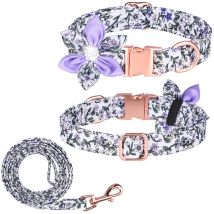 Mezheng - Collier Pour Chien Et Laisse Ajustable Avec Une Boucle Dorée Solide Avec Un Beau Nœud Papillon Et Une Bordure Florale